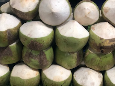 Coconut